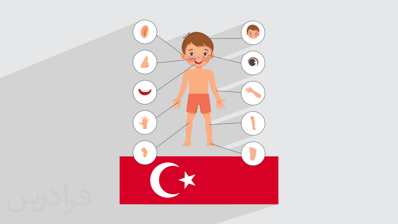 اعضای بدن در زبان ترکی استانبولی + لغات و جملات کاربردی (رایگان)