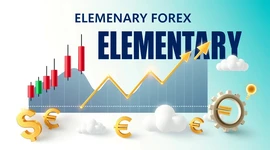 آموزش مبانی بازار فارکس